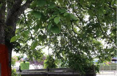 Villa 1950 Détente et Découverte avec spa et piscine extérieure - Foto 19