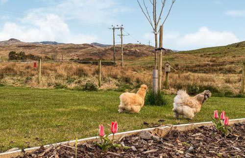 Maggie's Cabin - Photo 33