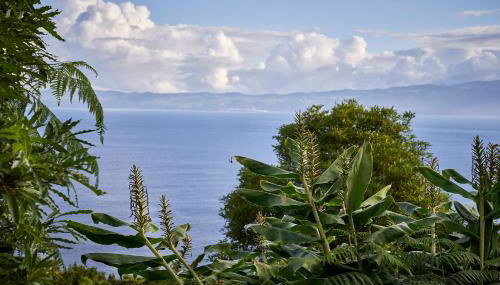 Casa do Ferreiro - Photo 5