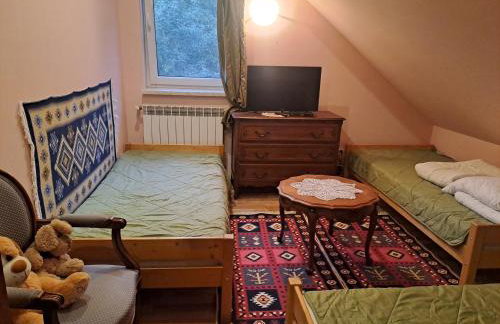 Ropuszy Dwór - Foto 7