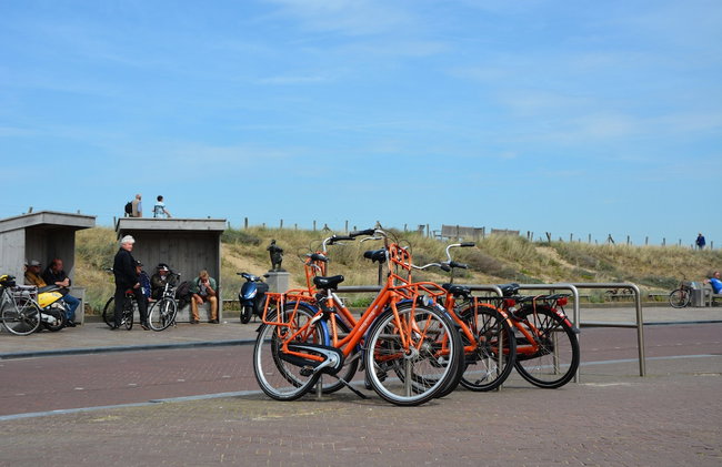 Holiday Home Near Noordwijk Beach - Foto 33