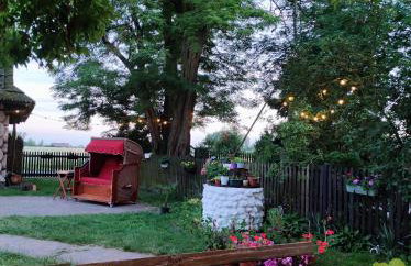 Gniazdo w Felicjanowie - Foto 32