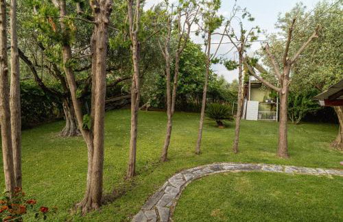 Olive Nest - Foto 31