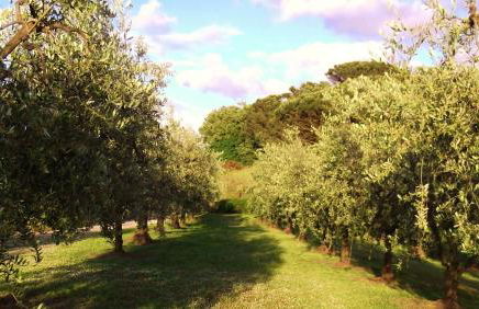 Podere La Casuccia - Foto 34