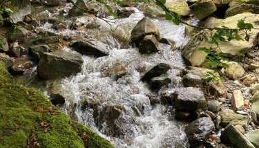 Snowdonia Holiday Lodges - Foto 2