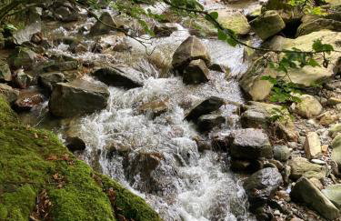 Snowdonia Holiday Lodges - Photo 2