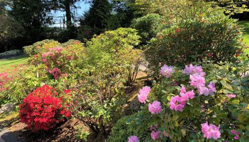 The Tides Retreat - Foto 3