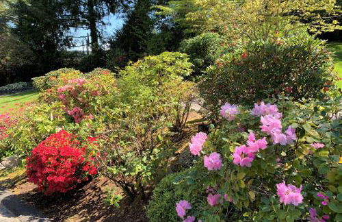 The Tides Retreat - Foto 3