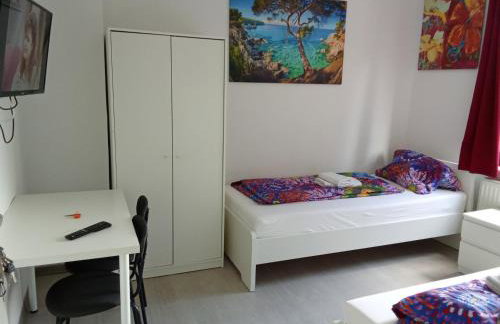 Adasflats Goose - Foto 3
