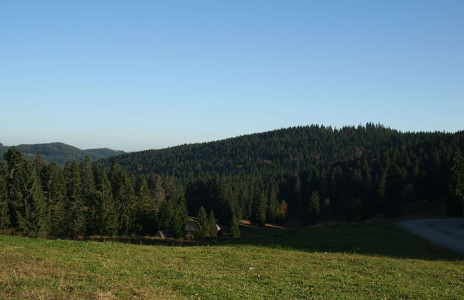 Apartment in Gutenbach With Nearby Forest - Foto 21