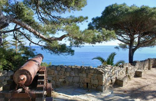 Le Mimose Terrace - Photo 23