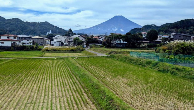 Excursão ao monte Fuji, lago Kawaguchi e pagode Chureito - Foto 4, Monte Fuji se ergue majestoso