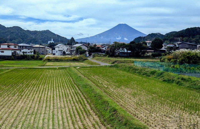 Mount Fuji, Lake Kawaguchi + Chureito Pagoda Day Trip - Foto 4