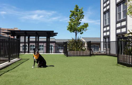 Blueground Emeryville pool nr Bay Street Park SFO-1987 - Foto 27