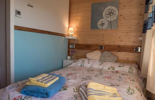 Enlli Fach cabin sleep's 2 adults and 2 children 2 dogs welcome not suitable for contract workers due to parking height restrictions - Photo 14