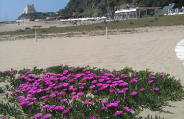 Flat Low cost - Foto 14