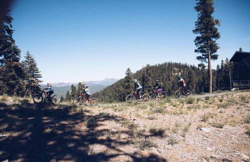 3159 Aspen Grove - Foto 19