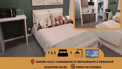 Le Petit Voyageur 5 min de la Gare & Nancy Thermal Logements Insolites Nancy - Foto 2