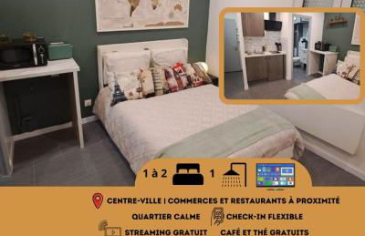 Le Petit Voyageur 5 min de la Gare & Nancy Thermal Logements Insolites Nancy - Foto 2