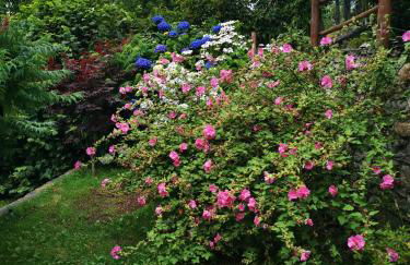 Casa Montilago - Foto 24