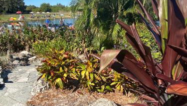 Florida condo close to Warm Mineral Springs - Foto 5