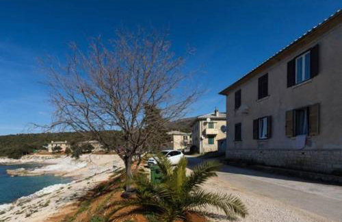 Sea apartment by beach Vine, olive oil tasting, kajaks, grill - Photo 48