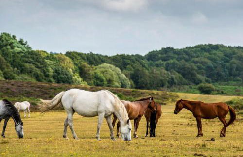 Stunning Luxury Apartment in Central Lymington - Foto 48