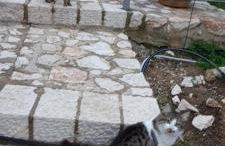 Πέτρα, Ελιά και Λεβάντα - Foto 52