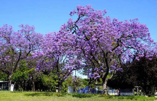 Heart of Ocean Dulpex Estoril - Foto 32