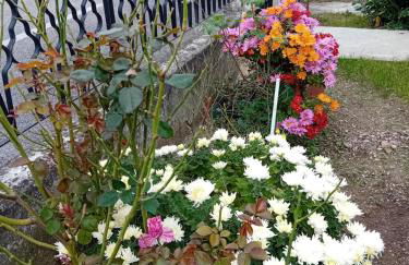 Villa Azzurra - Photo 23