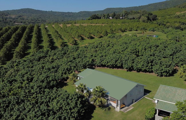 Oppi Plaas Abek - Foto 28