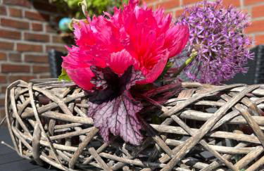 Schlafen beim Sandmann - Photo 15