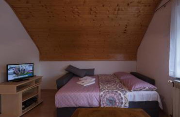 Apartment Barica - Foto 16