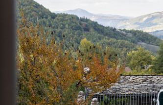 Antico maniero La Ploca - Foto 37