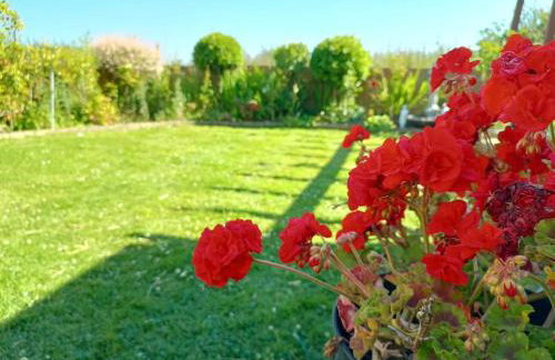 Bungalow with a view - Foto 36