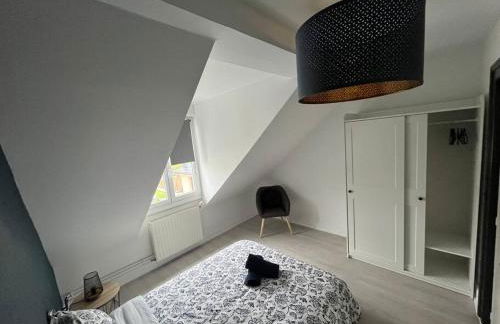 Appartement T3 rénové 60m2 proche centre Colmar - Foto 17