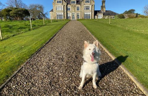 Blessingbourne Cottages & Apartments - Foto 80