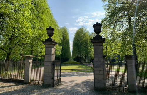 Ferienwohnung am Südwall All INCLUSIVE - Foto 46