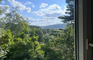 Anna's Waldchalet - Foto 10