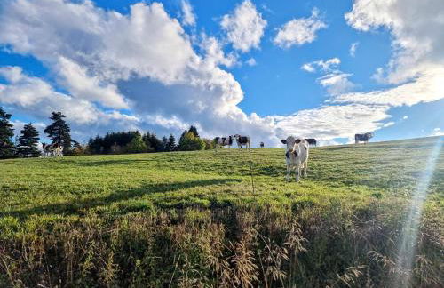 GITE LA MENOU - Foto 35