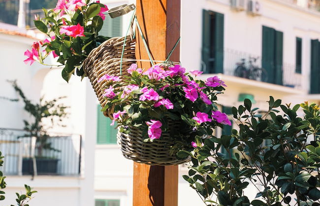 Accademia 39 - Foto 54