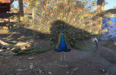 Siedlisko Bogdanka - Foto 9