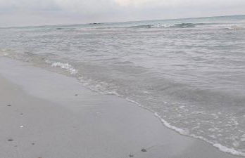 Sa Mesaluna Naturhouse - Foto 8