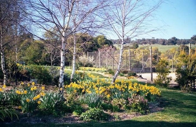 Wombat Hills Cottages - Foto 9