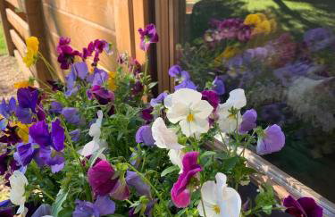 Crafter's Retreat luxury cabin on the Norfolk Cambridgeshire border - Foto 62