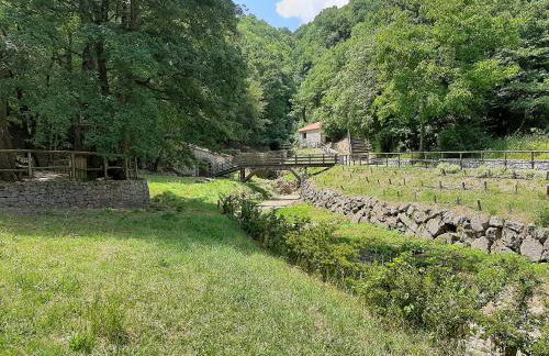 Mastu Gilardo - Foto 56