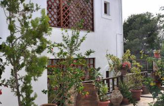 Pension Andromeda - Foto 57