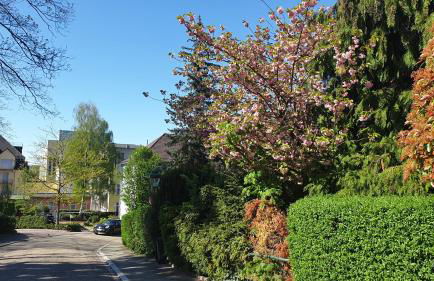 Family Suites & Parking - Foto 30