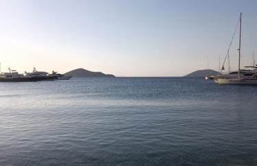 Theodore's Mansion Your aristocratic escape in Greece - Foto 45