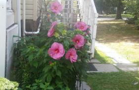 Sunny & Spacious Montclair NJ Apartment - Foto 60